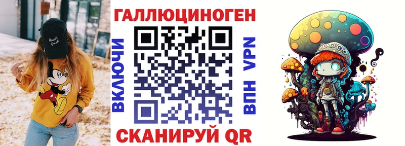 Купить  Терек  Псилоцибиновые грибы Psilocybe 